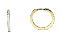 Pendientes EXTRA GOLD in Oro amarillo Cubic Zirconia 2004955710217 CZ G